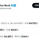 머스크랩 이미지