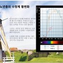 내마음에 든 안경 이미지