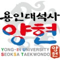 용인대 석사 양현 태권도 이미지