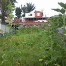 성자농장 이미지