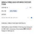 에리카레지던스 | 23년도 하계 해외단기파견 [프랑스] 한양대 에리카 (트레블월렛 카드 준비 등등 )