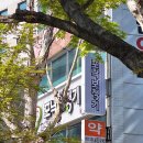 비엔토 티스토리
