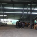 왕궁포레스트 이미지