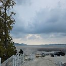 볼 때리는 집 이미지