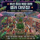 호랑마켓고양 | 2026년 5월 전국 식물마켓 일정 공유 오프라인 온라인 식마켓