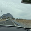 지오아라 | [제주 서귀포] 유채꽃 만개한 뷰맛집! 제주도 산방산카페 대추차 맛집 '지오아라' 방문후기