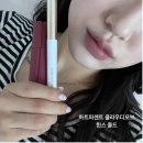 [내돈내산] 겨울 쿨 딥 인생 립 조합 발견! 힌스 콜드 X 하트퍼센트 클라우디 모브 솔직후기
