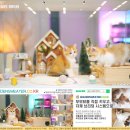 내친구고양이 | 성남고양이분양 후기 내가 만난 상냥한 친구들