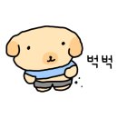 댕냥테라피 이미지