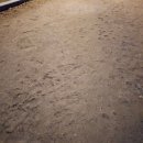 방아다리근린공원 이미지