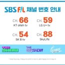 김해시공설운동장 네이버블로그