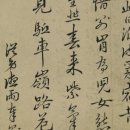 금평위(錦平尉) 박필성(朴弼成) 연구