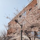 소나무 전경 | [공지] 대구역 센트레빌 더오페라 실물세대 직접 확인했습니다 | 현장 홍보관 오픈 후기