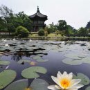 풍물(야간) 이미지