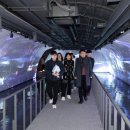 완산-22 이미지
