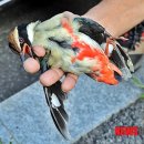 전북야생동물구조관리센터 이미지