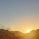 2025 해돋이 행사 이미지