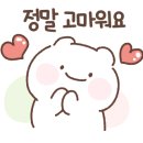 코지스터디카페 네이버블로그