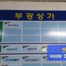 산호대로-20 이미지