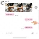 뉴드림약국 | 허마이오니