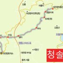 26년8월9일 대관령 옛길(트레킹)계곡의 청정수, 주문진항 이미지