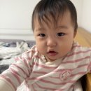 내리 39-1 소교량 | 2025.12.17. 황마스 D+449. 이유식272일째 유아식64일째. ★또 아픈 마스★ 어린이집 못감. 병원. 마스...