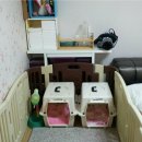 더노아하우스 이미지