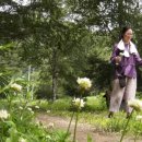 오대산내고향 이미지