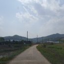 마교농장 이미지