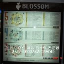 일본창업 도우미 - 코사카 (KOSAKA) - 21차 시장조사 (BLOSSOM - 나이키, 에드윈, 스노우보드 등) 이미지