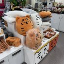 국립백두대간수목원  호랑이야외화장실 | 경북 봉화 가볼 만한 곳 국립백두대간수목원 트램 호랑이