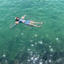 굿나잇 판포 이미지