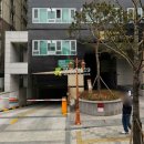 하나세인스톤1차 이미지