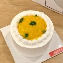 케잌ㅋ | [경주] 디저트카페 복이네 망고 생크림 홀케이크 예약 픽업 후기(사실은 에그타르트 찐맛집)