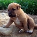 (주)뷰티셀렉션 이미지