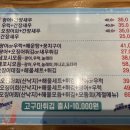 오징어세상 이미지