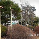 솟대 - 강남구 압구정로 334 | 솟대