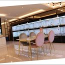 순진한 강아지 이미지