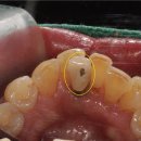 태장고려의원 이미지