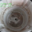 대우그린세탁 이미지