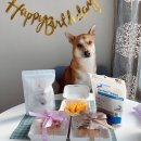 미미펫푸드 이미지