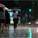 스콜 이미지