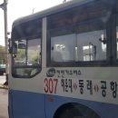 부산 307번 버스 (2020.5.14) 이미지