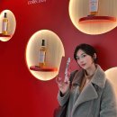 360 | 성수 팝업 스토어 맥캘란 360 후기 (25.11.21 금~11.30 일)