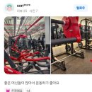 몰리짐's PT | 왜 다들 여기서 PT를 시작할까?｜달서구 헬스장 몰리짐 장기점 (feat. 10~11월 PT 후기 총정리)