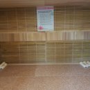 힐스템 테라피 이미지