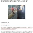 [공유] 핸드폰보다 차도에 고꾸라져... 버스에 깔린 40대 남성 이미지