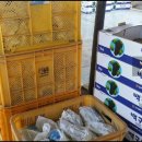 만택농장 이미지