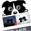 프리티도그 이미지