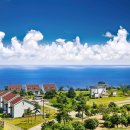 대아스크린골프 이미지